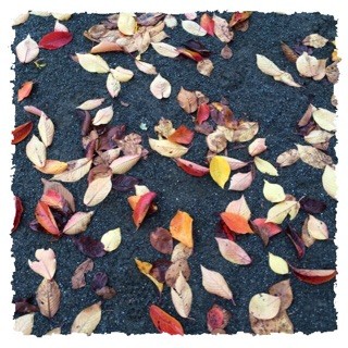 f:id:rainy63garden:20141125220004j:plain f:id:rainy63garden:20141125220004j:plain