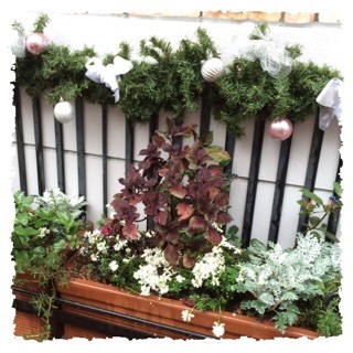 f:id:rainy63garden:20141202045701j:plain f:id:rainy63garden:20141202045701j:plain