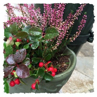 f:id:rainy63garden:20141202045837j:plain f:id:rainy63garden:20141202045837j:plain