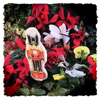 f:id:rainy63garden:20141218211512j:plain f:id:rainy63garden:20141218211512j:plain