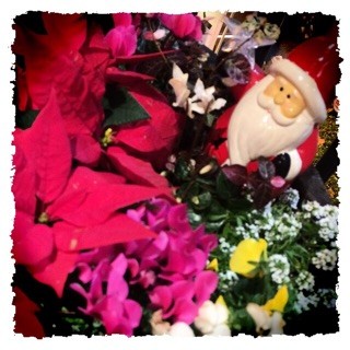 f:id:rainy63garden:20141219195246j:plain f:id:rainy63garden:20141219195246j:plain