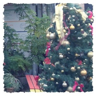 f:id:rainy63garden:20141221201445j:plain f:id:rainy63garden:20141221201445j:plain
