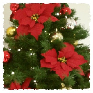 f:id:rainy63garden:20141224161623j:plain f:id:rainy63garden:20141224161623j:plain