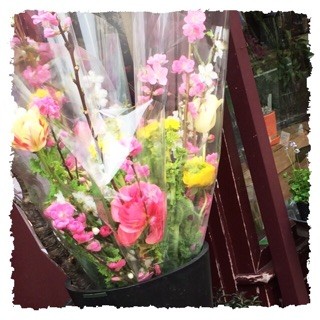 f:id:rainy63garden:20150225063440j:plain f:id:rainy63garden:20150225063440j:plain
