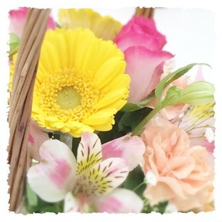 f:id:rainy63garden:20150325211055j:plain f:id:rainy63garden:20150325211055j:plain