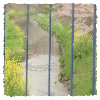 f:id:rainy63garden:20150404090440j:plain f:id:rainy63garden:20150404090440j:plain