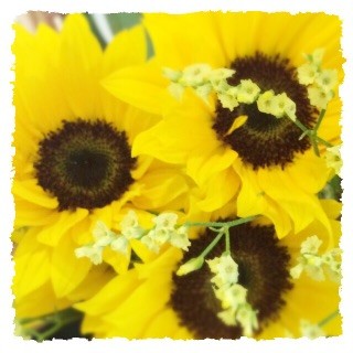 f:id:rainy63garden:20150709132922j:image f:id:rainy63garden:20150709132922j:image