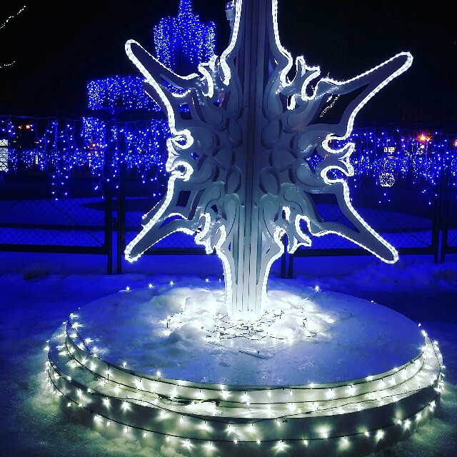f:id:rana0420:20151201210536j:image f:id:rana0420:20151201210536j:image