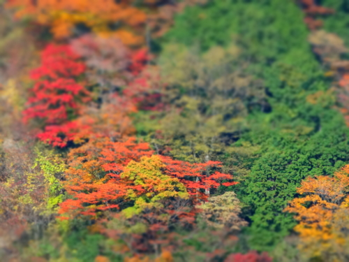 f:id:rashinzu:20141124135637j:plain f:id:rashinzu:20141124135637j:plain