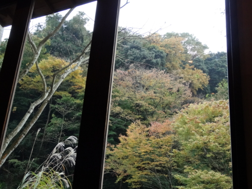 f:id:rashinzu:20141124160019j:plain f:id:rashinzu:20141124160019j:plain