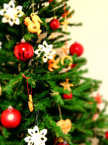 f:id:rashinzu:20141130015554j:plain f:id:rashinzu:20141130015554j:plain