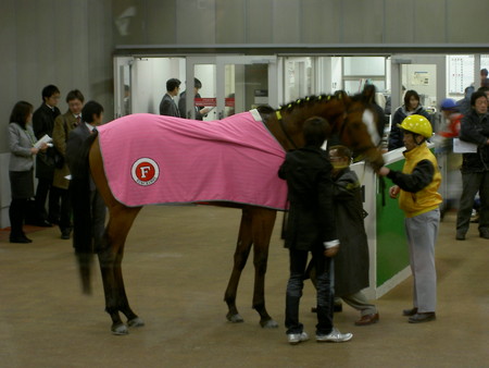 f:id:re-donald:20080211150715j:image:h200
