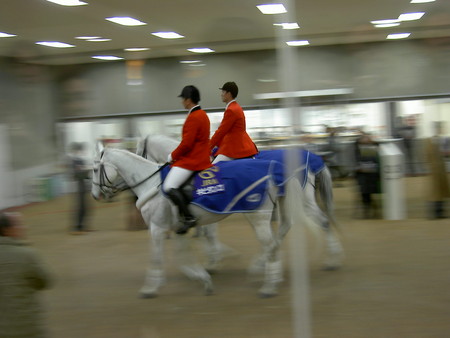 f:id:re-donald:20080211152013j:image:h200