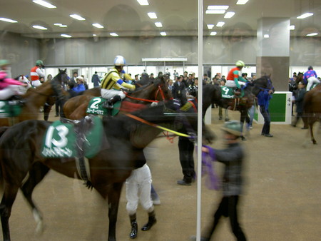 f:id:re-donald:20080211154113j:image:h200