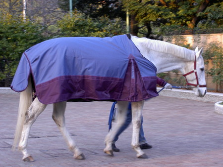 f:id:re-donald:20080211164219j:image:h200