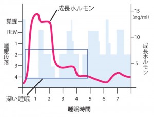 f:id:reL:20140124111005j:plain f:id:reL:20140124111005j:plain