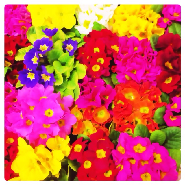 f:id:readingsalon:20140623212524j:plain f:id:readingsalon:20140623212524j:plain