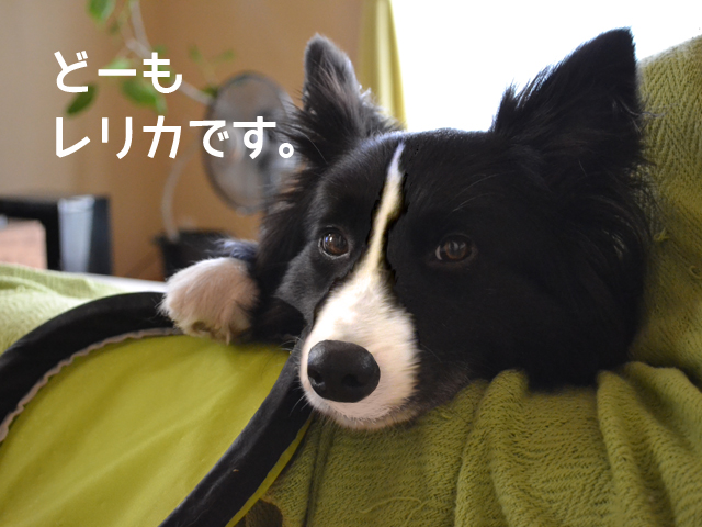 f:id:rebirth3:20130623140624j:plain f:id:rebirth3:20130623140624j:plain