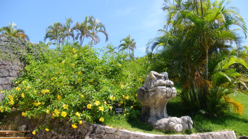 f:id:reeyan:20080825133756j:image f:id:reeyan:20080825133756j:image