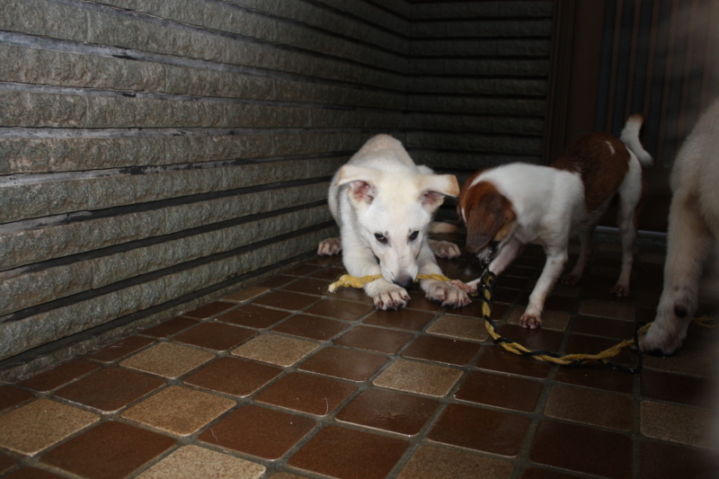 f:id:reeyan:20081005140957j:image