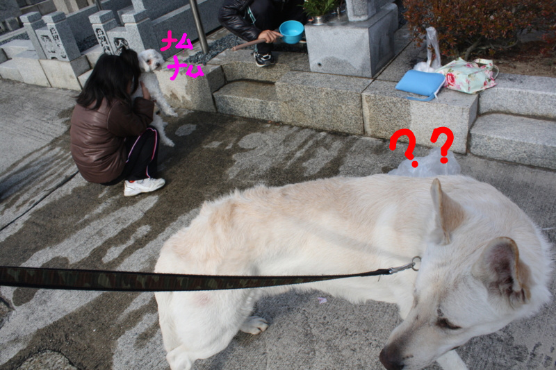 f:id:reeyan:20091223120312j:image f:id:reeyan:20091223120312j:image