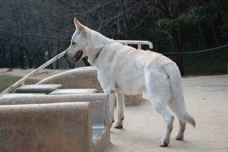 f:id:reeyan:20091223122110j:image f:id:reeyan:20091223122110j:image