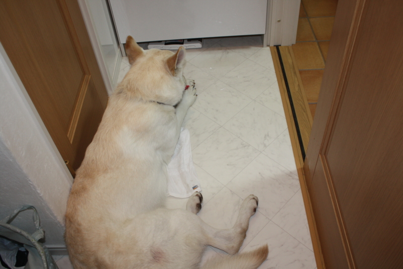 f:id:reeyan:20091228221617j:image