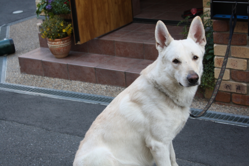 f:id:reeyan:20091231151524j:image