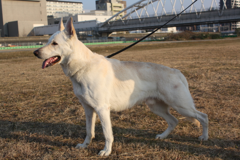 f:id:reeyan:20100102082908j:image