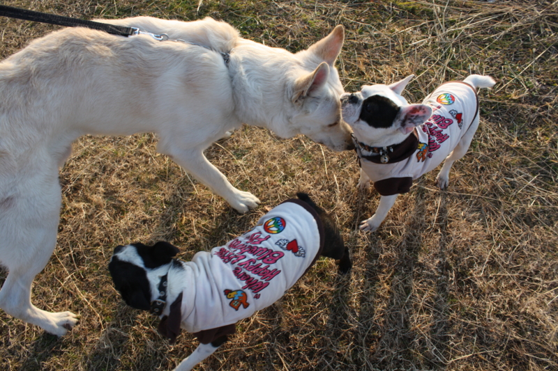 f:id:reeyan:20100102083008j:image