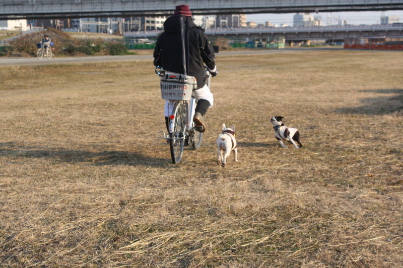 f:id:reeyan:20100102083032j:image