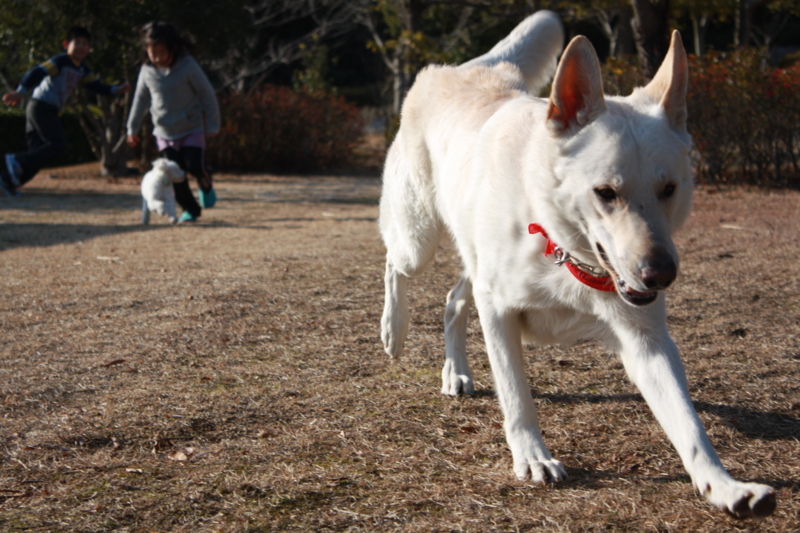 f:id:reeyan:20100207153151j:image f:id:reeyan:20100207153151j:image