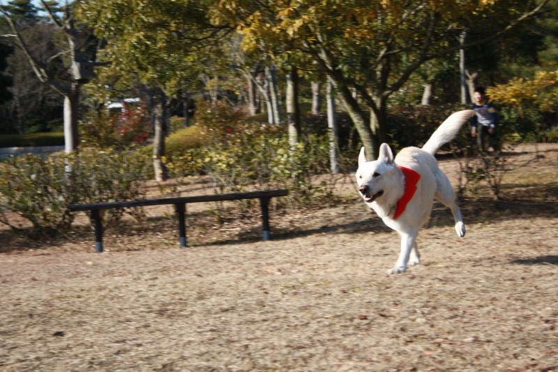 f:id:reeyan:20100207153213j:image f:id:reeyan:20100207153213j:image