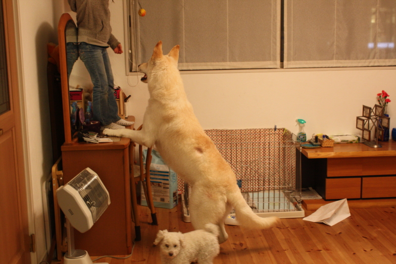 f:id:reeyan:20100219200708j:image f:id:reeyan:20100219200708j:image