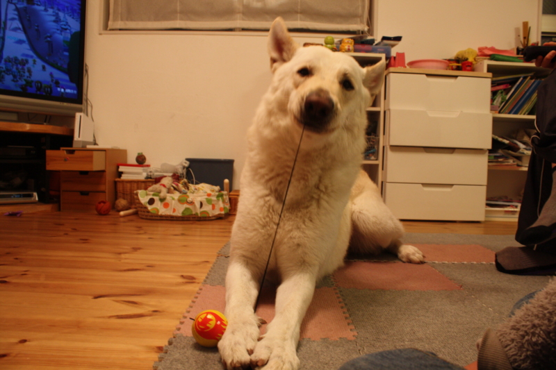 f:id:reeyan:20100219201105j:image f:id:reeyan:20100219201105j:image