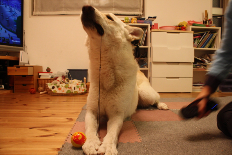 f:id:reeyan:20100219201109j:image f:id:reeyan:20100219201109j:image