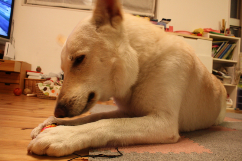 f:id:reeyan:20100219201223j:image f:id:reeyan:20100219201223j:image