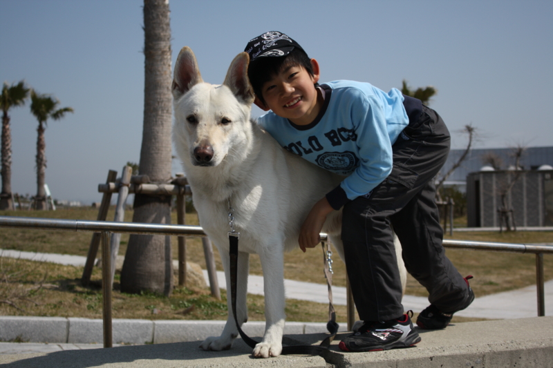 f:id:reeyan:20100403103842j:image f:id:reeyan:20100403103842j:image