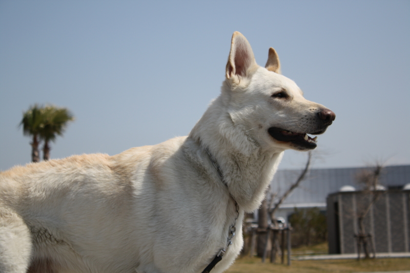 f:id:reeyan:20100403103901j:image f:id:reeyan:20100403103901j:image