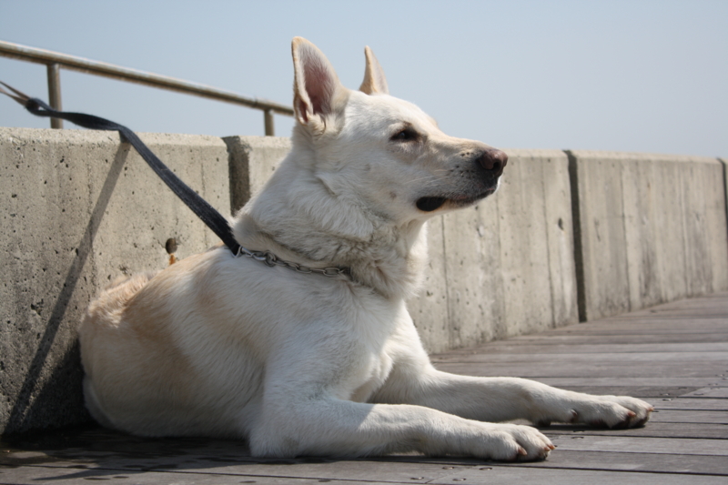 f:id:reeyan:20100403105025j:image f:id:reeyan:20100403105025j:image