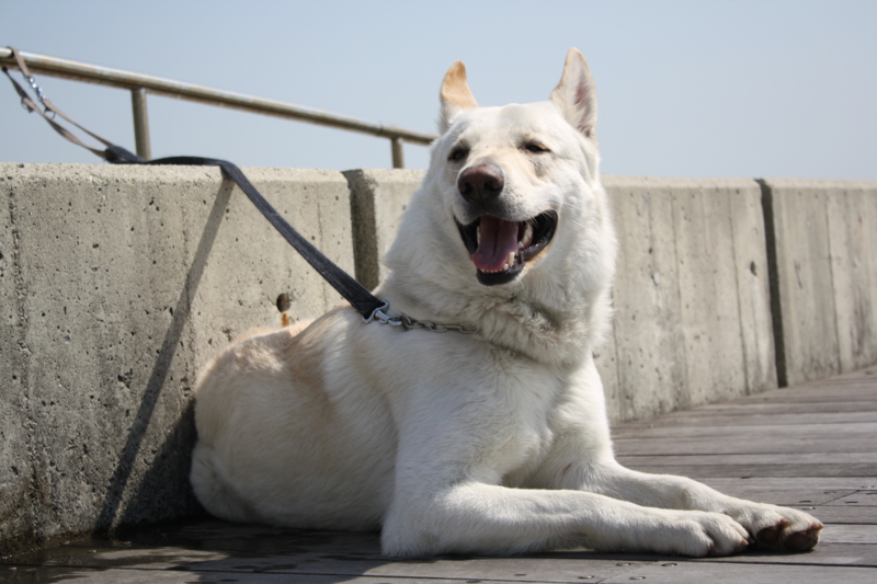 f:id:reeyan:20100403105029j:image f:id:reeyan:20100403105029j:image