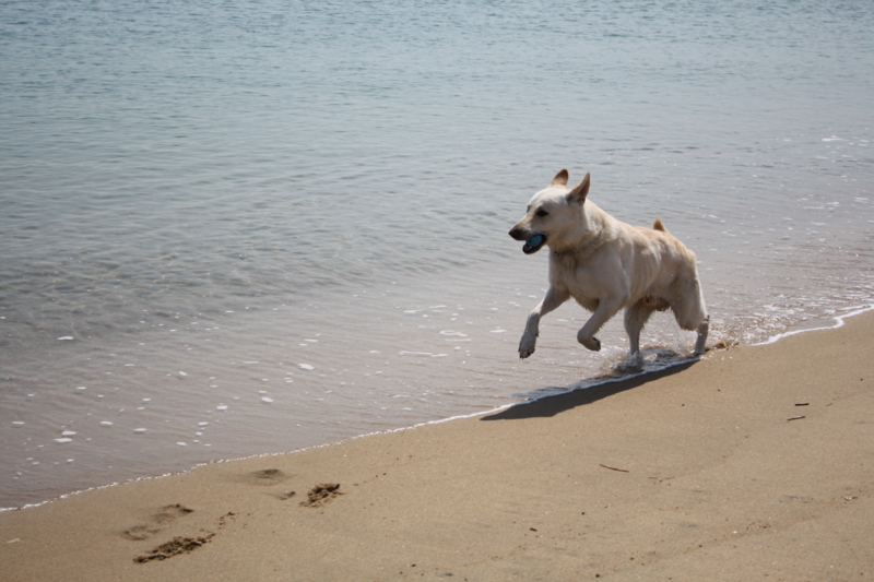 f:id:reeyan:20100403113349j:image f:id:reeyan:20100403113349j:image