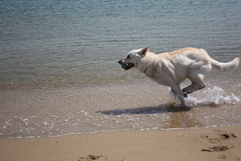 f:id:reeyan:20100403113439j:image f:id:reeyan:20100403113439j:image