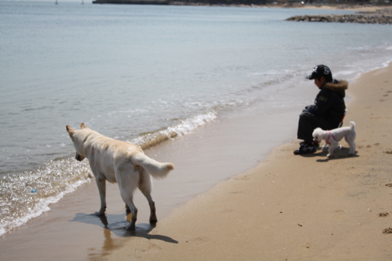 f:id:reeyan:20100403113659j:image f:id:reeyan:20100403113659j:image