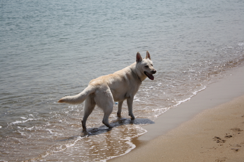 f:id:reeyan:20100403113735j:image f:id:reeyan:20100403113735j:image