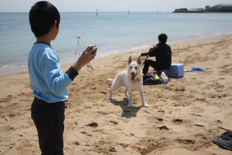 f:id:reeyan:20100403114615j:image f:id:reeyan:20100403114615j:image
