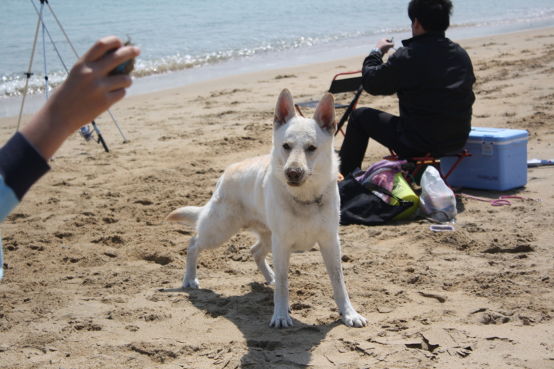 f:id:reeyan:20100403114616j:image f:id:reeyan:20100403114616j:image