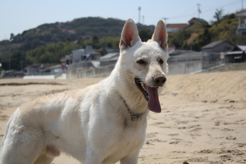 f:id:reeyan:20100403114725j:image f:id:reeyan:20100403114725j:image