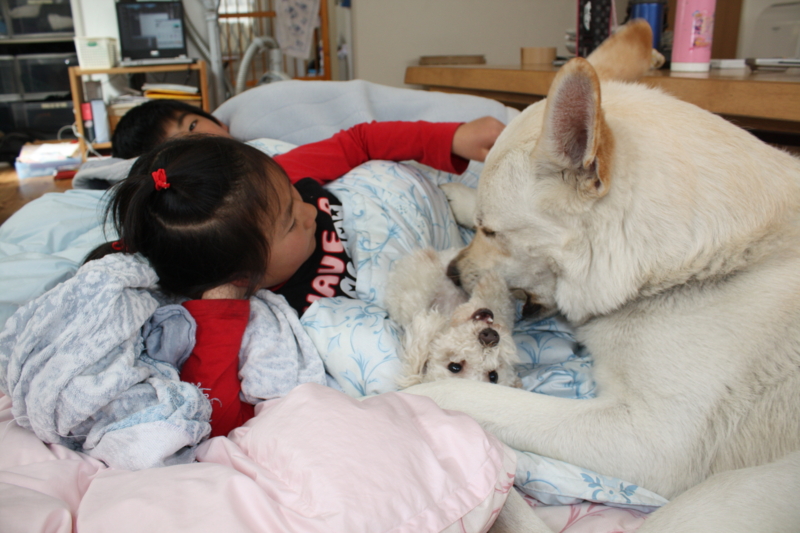 f:id:reeyan:20100404133919j:image f:id:reeyan:20100404133919j:image