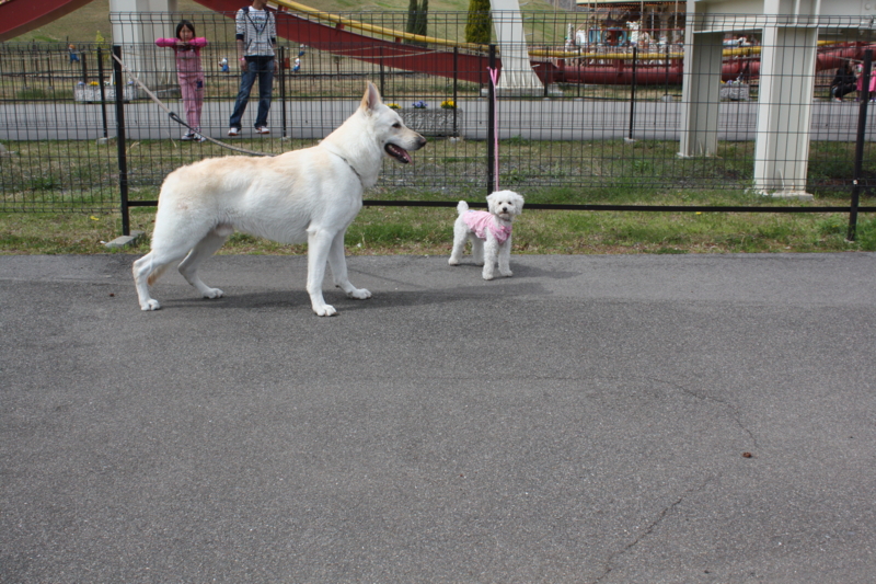 f:id:reeyan:20100410142121j:image f:id:reeyan:20100410142121j:image